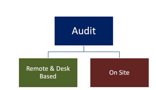tax audit